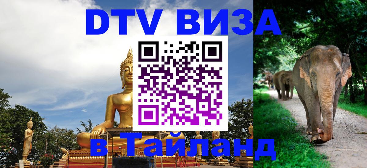 Сколько стоит DTV виза — актуальные цены, оформление даже без документов - 05.12.2025 